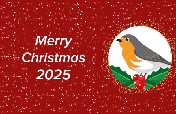 miniatura e xmas_robin